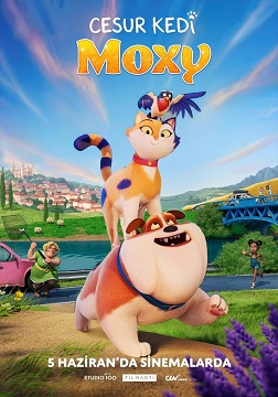 CESUR KEDİ MOXY (GENEL İZLEYİCİ)